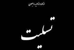 پیام تسلیت مهندس امیرحسنخانی عضو هئیت مدیره و معاون اجرایی شرکت