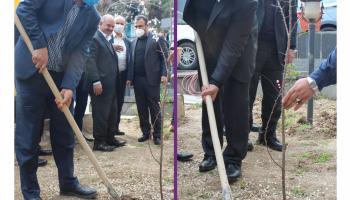 کاشت نهال به مناسبت روز درختکاری&nbsp;