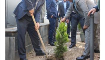 کاشت نهال توسط معاون اجرایی و اعضای هیئت مدیره بیمه آرمان بمناسبت روز درختکاری 