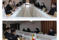 جلسه ممیزی مدیریت ریسک شرکت بیمه آرمان