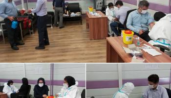 سنجش سلامت و آزمایش کرونا برای پرسنل بیمه آرمان اجرایی شد
