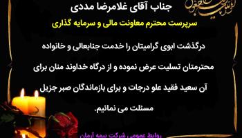 سرپرست معاونت مالی و سرمایه گذاری بیمه آرمان داغدار شد