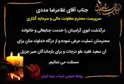 سرپرست معاونت مالی و سرمایه گذاری بیمه آرمان داغدار شد